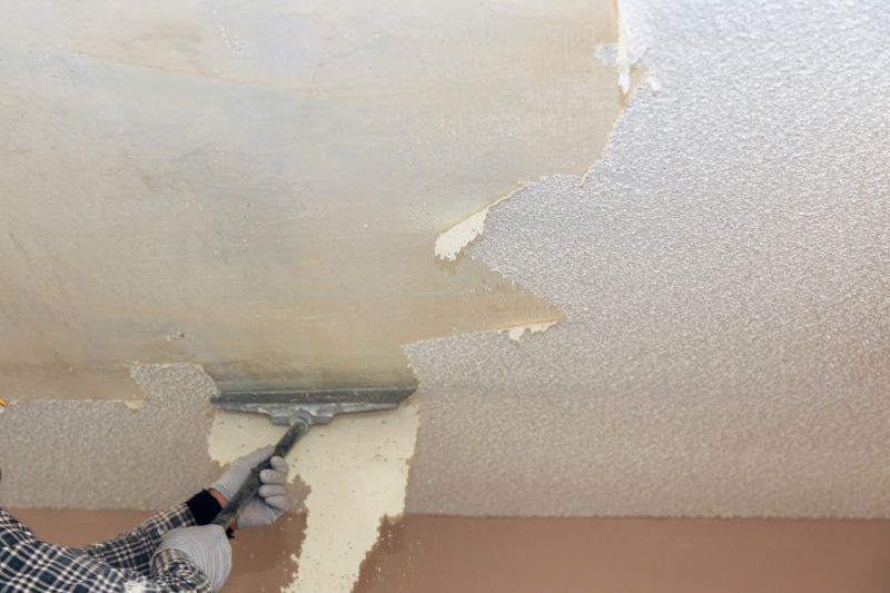 Local Textured Ceiling Coating pros at work