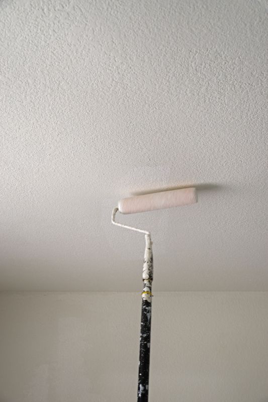 Textured Ceiling Coating