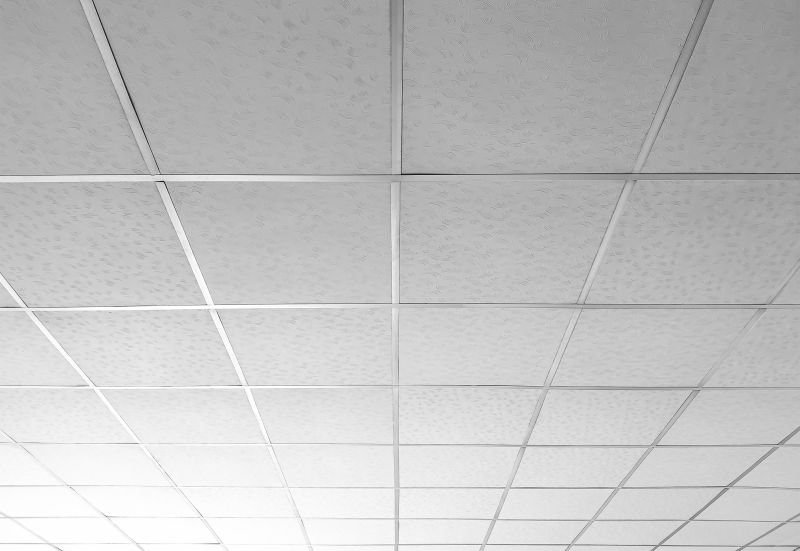 Textured Ceiling Coating