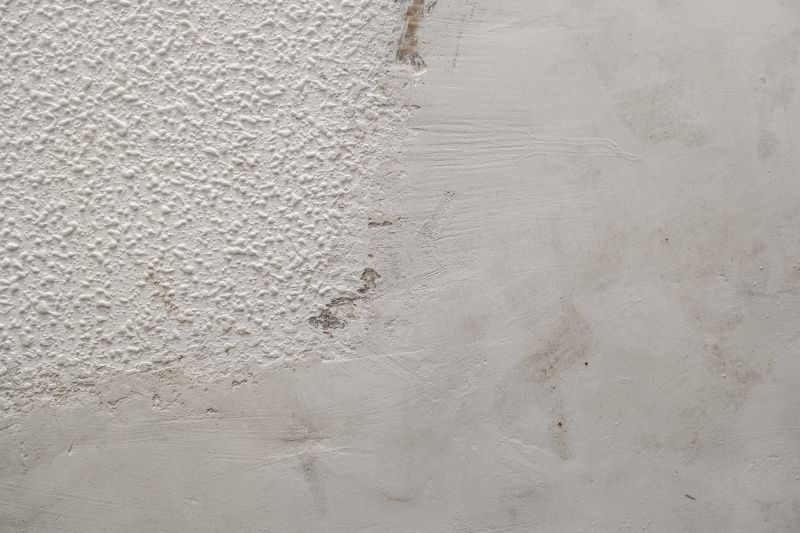 Textured Ceiling Coating Application